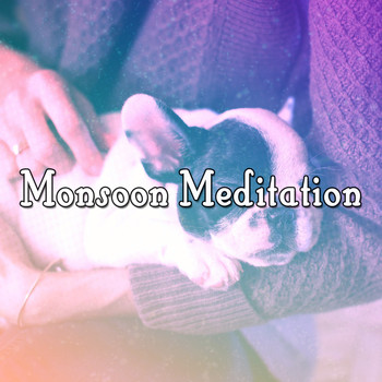 Rain Sounds Sleep - Monsoon Meditation