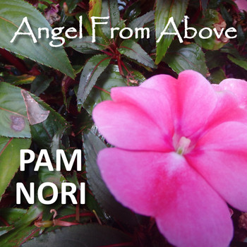 Pam Nori - Angel from Above