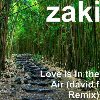 Zaki - Love Is In the Air (david.f Remix)