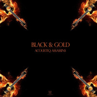 Acoustiq Assassins - Black & Gold