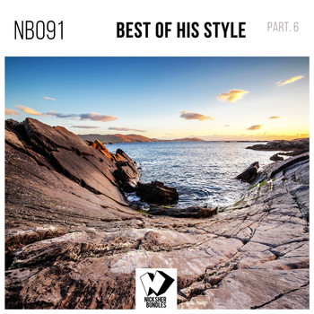 Various Artists - Best of His Style, Pt. 6