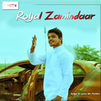 Mr. Perfect - Royal Zamindar