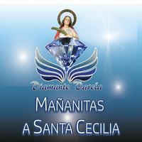 Diamante Varela - Mañanitas a Santa Cecilia