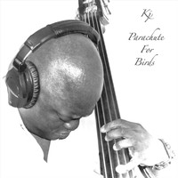 KJ - Parachute for Birds