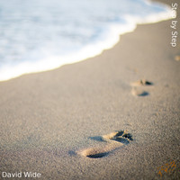 David Wide / David Wide - Step By Step