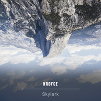 NRDFCE - Skylark