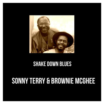 Sonny Terry & Brownie McGhee - Shake Down Blues