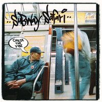 Subway Safari - Check the Vibe
