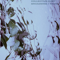 Broadwing - Collective Quiet
