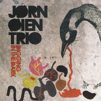 Jørn Øien Trio - Digging in the Dark