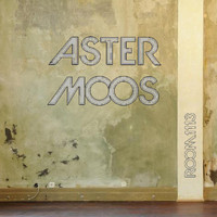 Aster Moos - Room 1113
