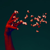 Jeppe Kjellberg - Circles
