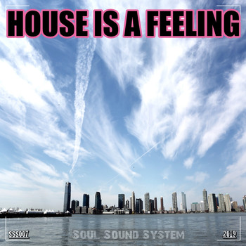Various Artists - House Is a Feeling