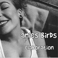 Anies Birds - Elaboration