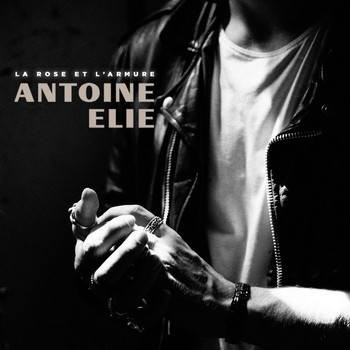 Antoine Elie - La rose et l'armure (Radio Edit)