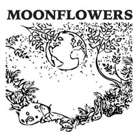 Moonflowers - Where Are You