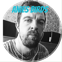 Anies Birds - Be in Time