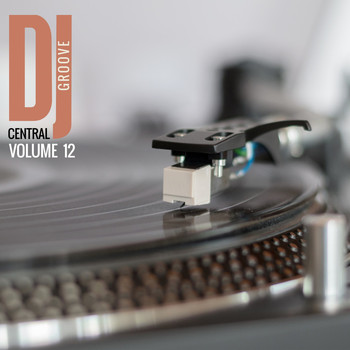 Various Artists - DJ Central Groove Vol, 12