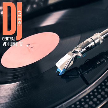 Various Artists - DJ Central Groove Vol, 17