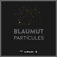 Blaumut - Partícules
