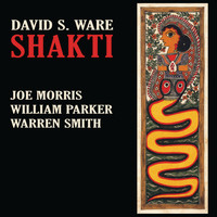 David S. Ware / - Shakti