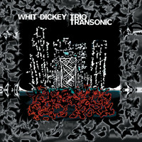 Whit Dickey Trio / - Transonic
