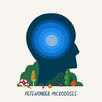 petewonder - microdoses
