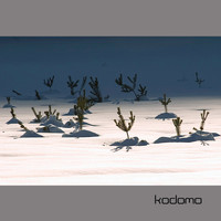 Kodomo / - Spira Mirablis