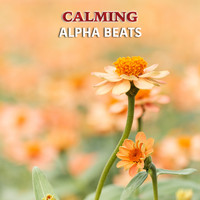 Binaural Beats Experience, Binaural Beat Therapy, Binaural Beats Meditation - #20 Calming Alpha Beats