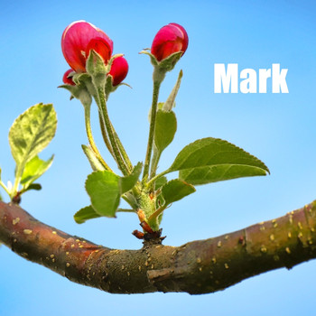 Ocb Relax - Mark