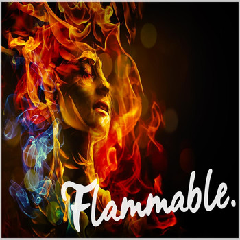 Charlie Margin, Dylan Bloor & MINIQ - Flammable.
