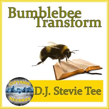 D.J. Stevie Tee - Bumblebee Transform (Explicit)