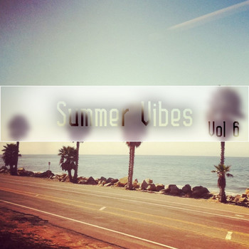 Various Artists - Summer Vibes Vol, 6