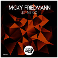 Micky Friedmann - Let Me Go