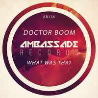 Doctor Boom - What Was That