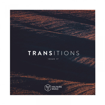 Various Artists - Transition Issue 17