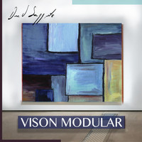 David Saggiante - Visión Modular