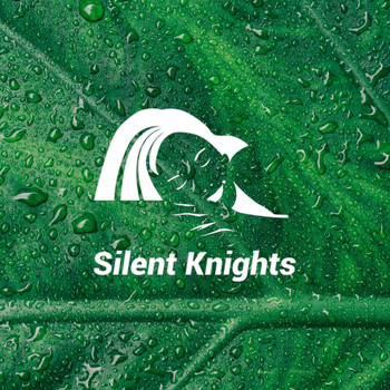 Silent Knights - White Noise Fresh