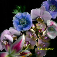 Alpines - Full Bloom