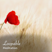 Asian Zen Spa Music Meditation, Japanese Relaxation and Meditation, Guided Meditation - #15 Memorable Noises for Meditation, Spa and Relaxation