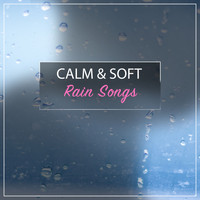 Meditation Relaxation Club, Deep Sleep Music Collective, Rain Recorders - #19 Calm & Soft Rain Songs