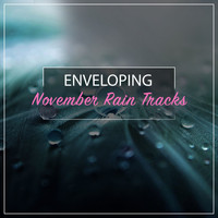Meditation Zen Master, Rain Sounds Nature Collection, Rain Sounds Sleep - #15 Enveloping November Rain Tracks