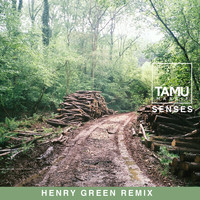 Tamu Massif - Senses (Henry Green Remix)