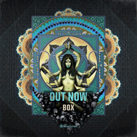 Out Now - Out Now Box