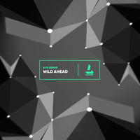 Ilya Gerus - Wild Ahead