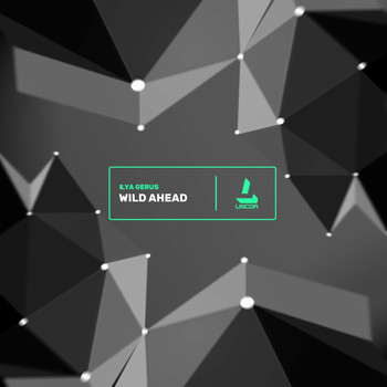 Ilya Gerus - Wild Ahead
