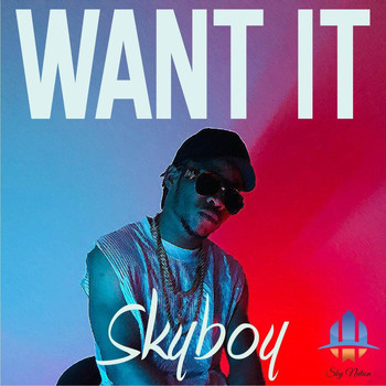 Skyboy - Want It