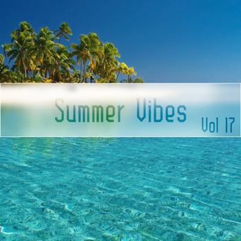 Various Artists - Summer Vibes Vol, 17