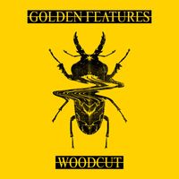 Golden Features - Woodcut (feat. Rromarin) (Remixes)