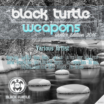 Various Artists - Black Turtle Weapons (Winter Edition 2016)